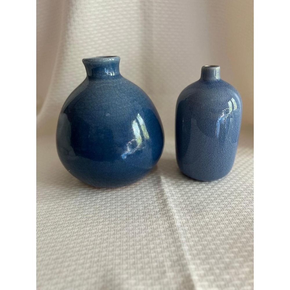 Crate & Barrel Blue Perry Bud Vases Set of 2